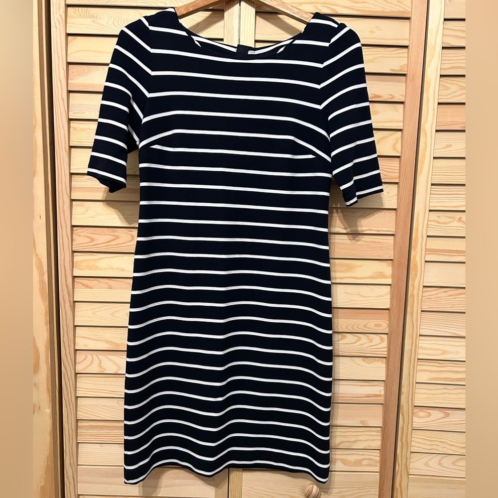 Banana Republic True Navy Stripe Dress